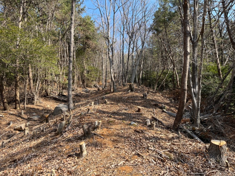 [크기변환]4-5. 관련사진(사진4 잔존토성사진1).jpg