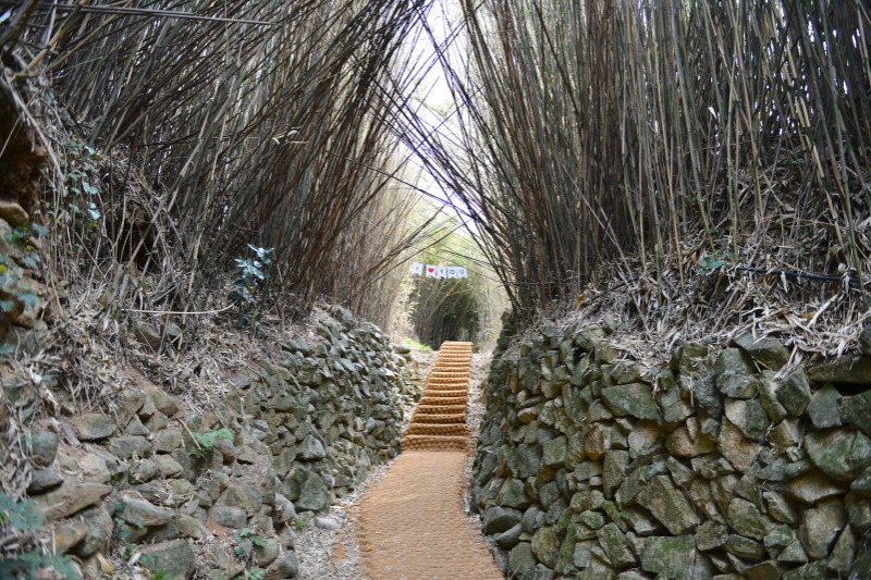 [크기변환]2-1. 샛바람소리길 (1).jpg