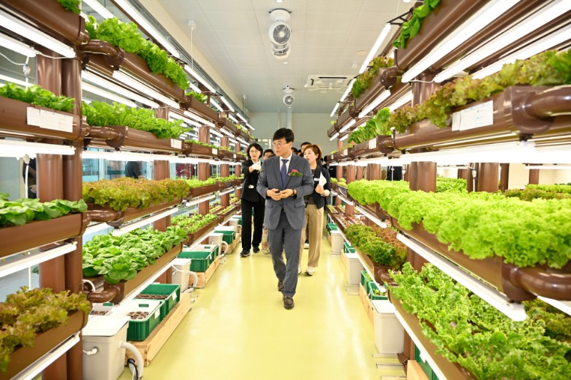 [크기변환]관련사진(거제로컬 누리센터, 농업인과 소비자 상생의 장 활짝 열다) (3).jpg