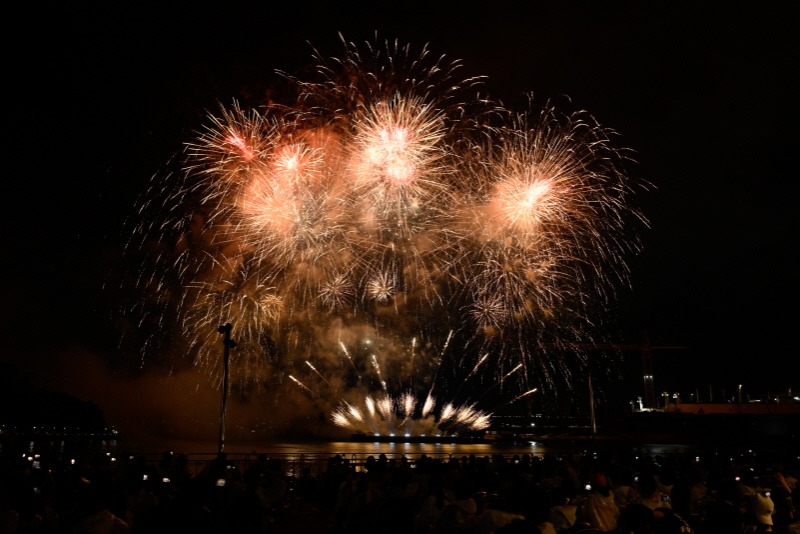[크기변환]관련사진(제63회 거제옥포대첩축제 성료) (5).jpg
