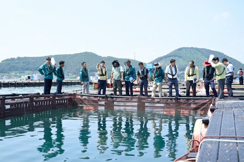 [크기변환]관련사진(고수온,적조 대비 현장 점검) (2).jpg