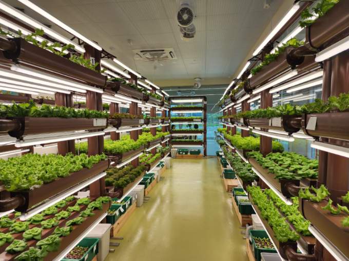 [크기변환]관련사진(거제에 등장한 ‘미래형 카페’， 눈으로 보고 맛보는 스마트팜 카페) 1.jpeg