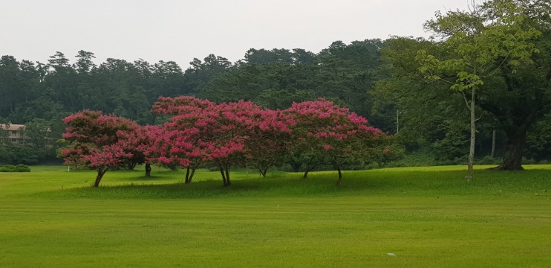 2-2. 연리지정원(여름~초가을).jpg