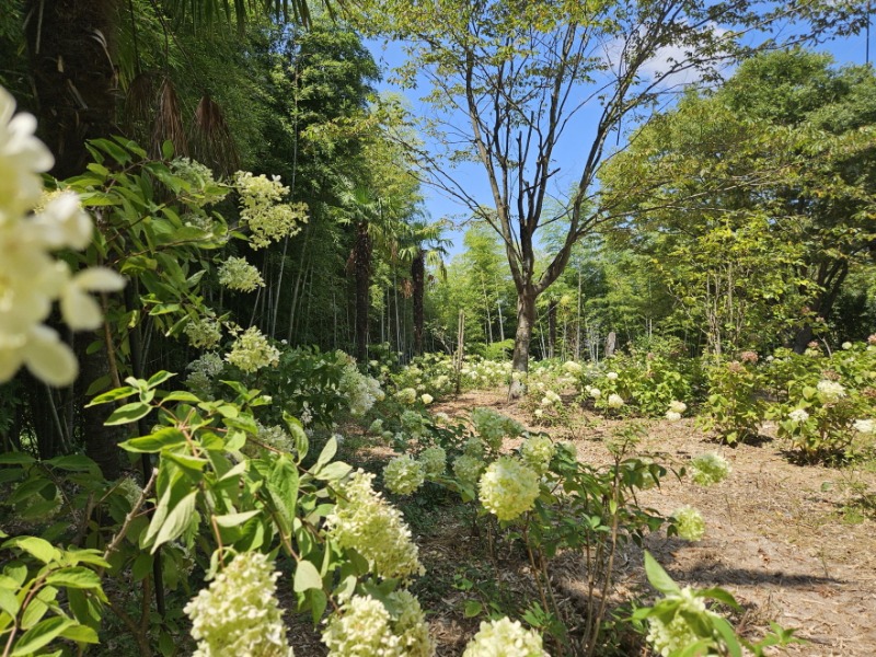 3-3. 보도자료-사진2.jpg