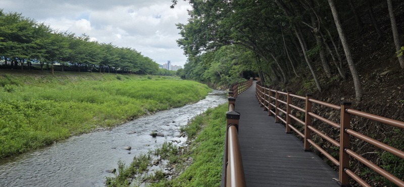 관련사진(고현천 산책로 개방) (1).jpg