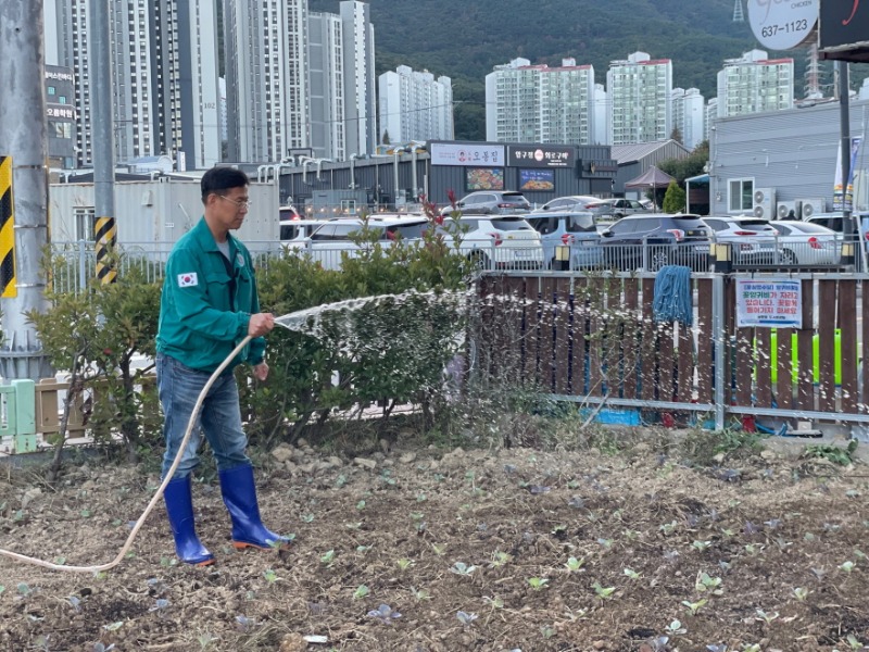 1-3. 상문동, 가을에도 꽃밭을 시작합니다 사진2.jpg