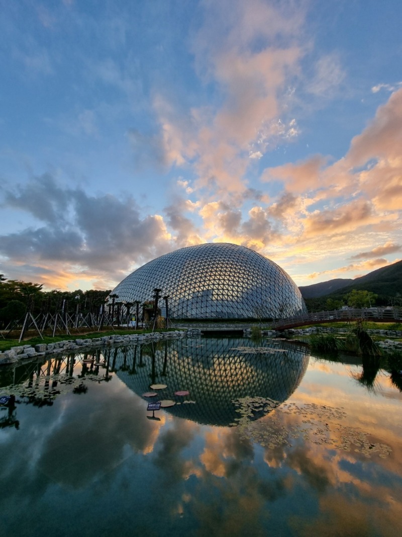 관련사진(거제식물원 정글돔, 웨딩촬영 한시적 무료대관 운영안내).jpeg