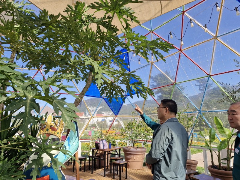 관련사진(민기식 거제시 부시장, 거제섬꽃축제 사전현장 점검 실시) (1).jpg