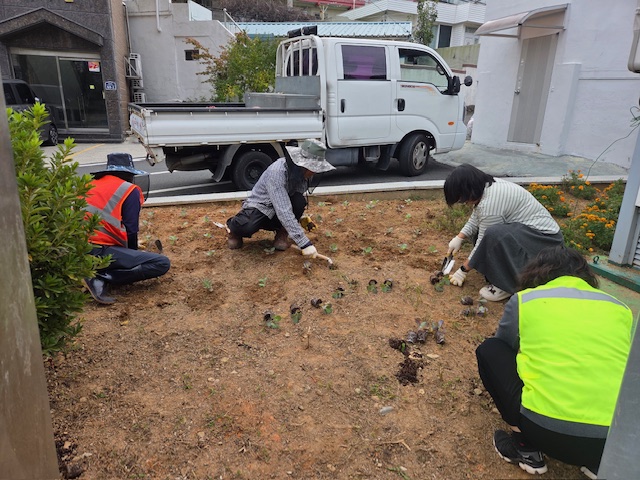 7-4. 사진3(장승포동, 겨울꽃 식재로 따뜻하고 쾌적한 보행환경 조성).JPG