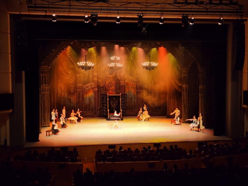 동화발레 백조의 호수.jpg