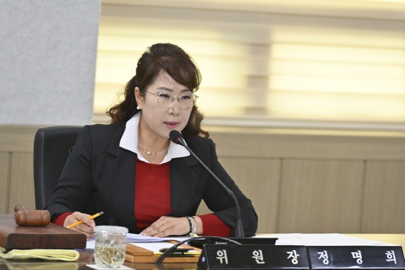 (251107-보도자료) 조례 발의-거제시의회 정명희 의원 사진2.jpeg