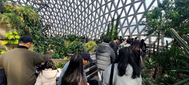 관련사진(거제식물원, 2만 2천여 명 찾아 명절 대표 관광지 입증) (1).jpg