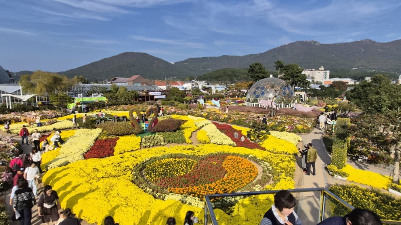 관련사진1(거제섬꽃축제 2026 경상남도 지정 문화관광축제 선정).jpg