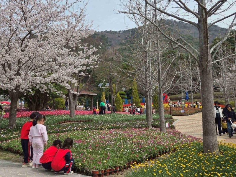 [크기변환][크기변환]관련사진(독봉산웰빙공원 수만 송이 봄꽃전시 한창2).jpg