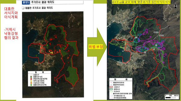 노자산골프장 대흥란 분포(23.7공동조사)와 이시계획.png